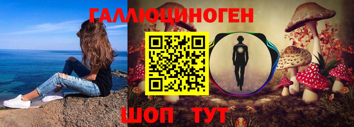 Узловая  Галлюциногенные грибы Psilocybe  наркошоп  Вход с VPN 